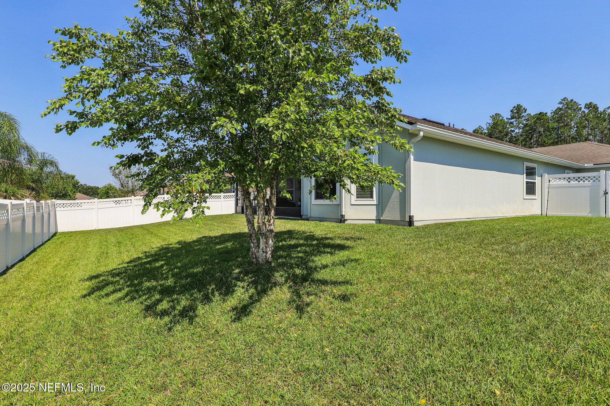 284 QUEEN VICTORIA Avenue, St. Johns