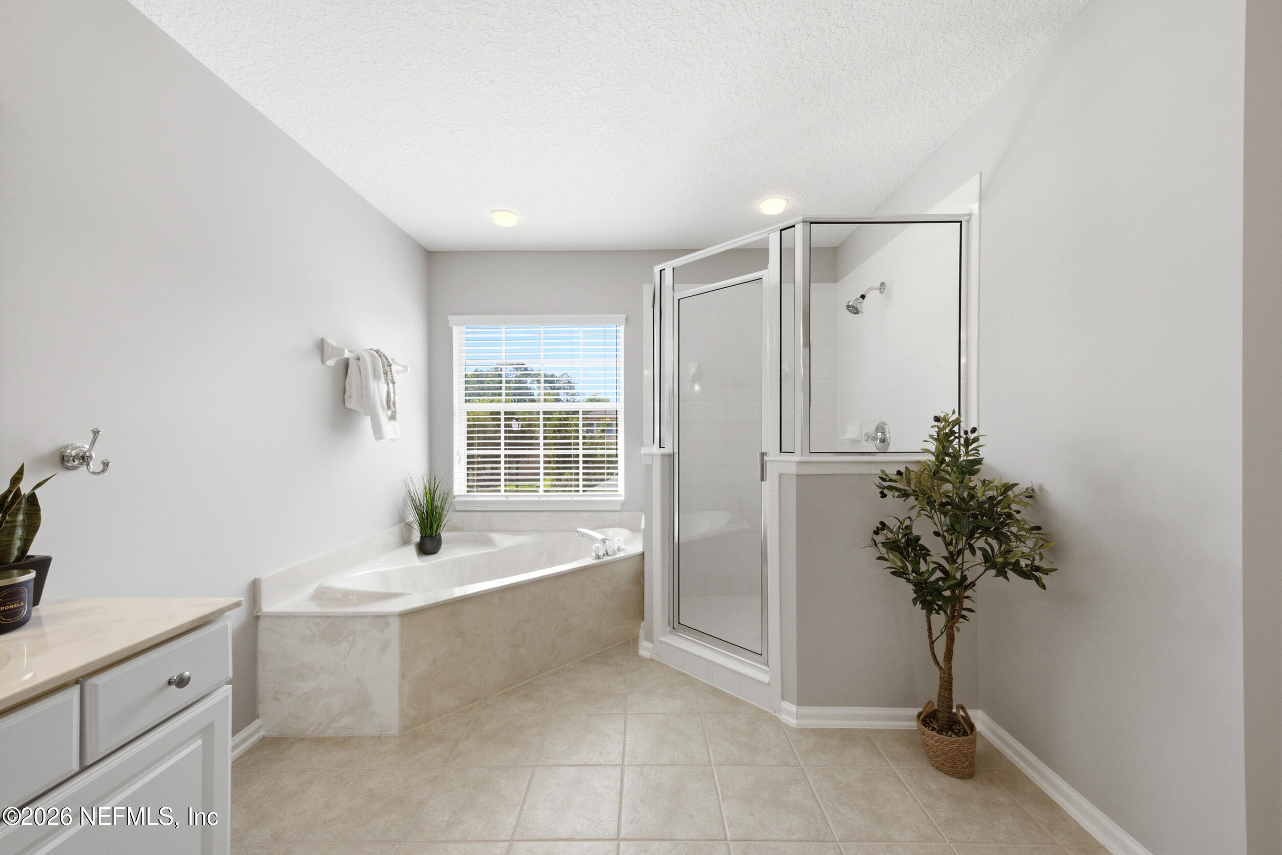 1555 SUMMERDOWN Way, St. Johns