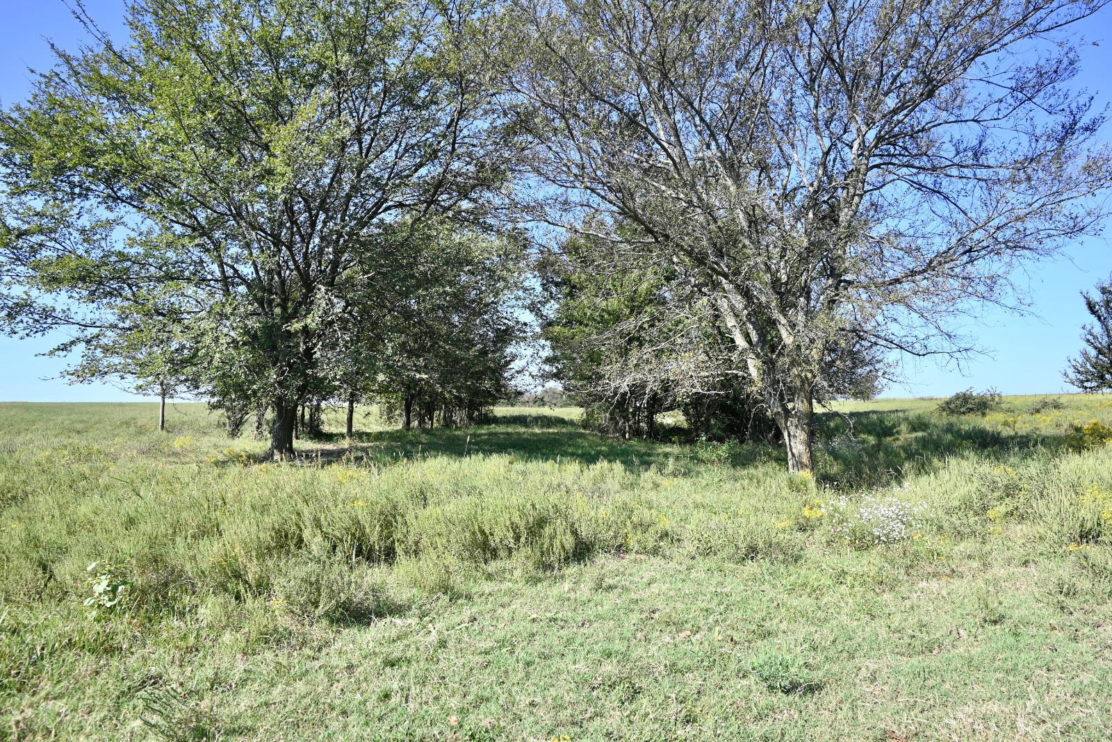 7750 E 127 Rd
