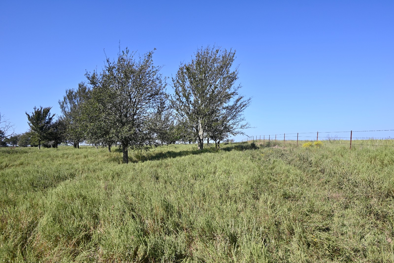 7750 E 127 Rd