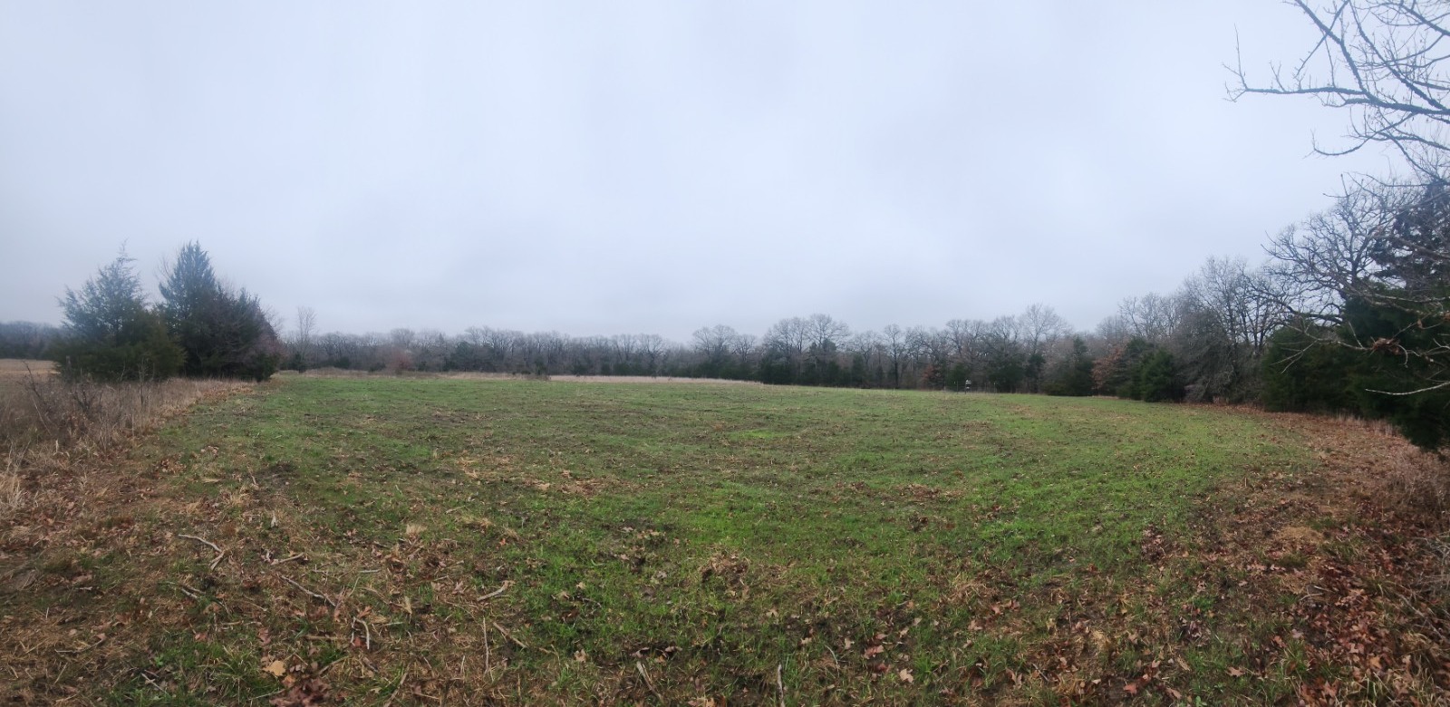 00 Cedar Grove Rd.