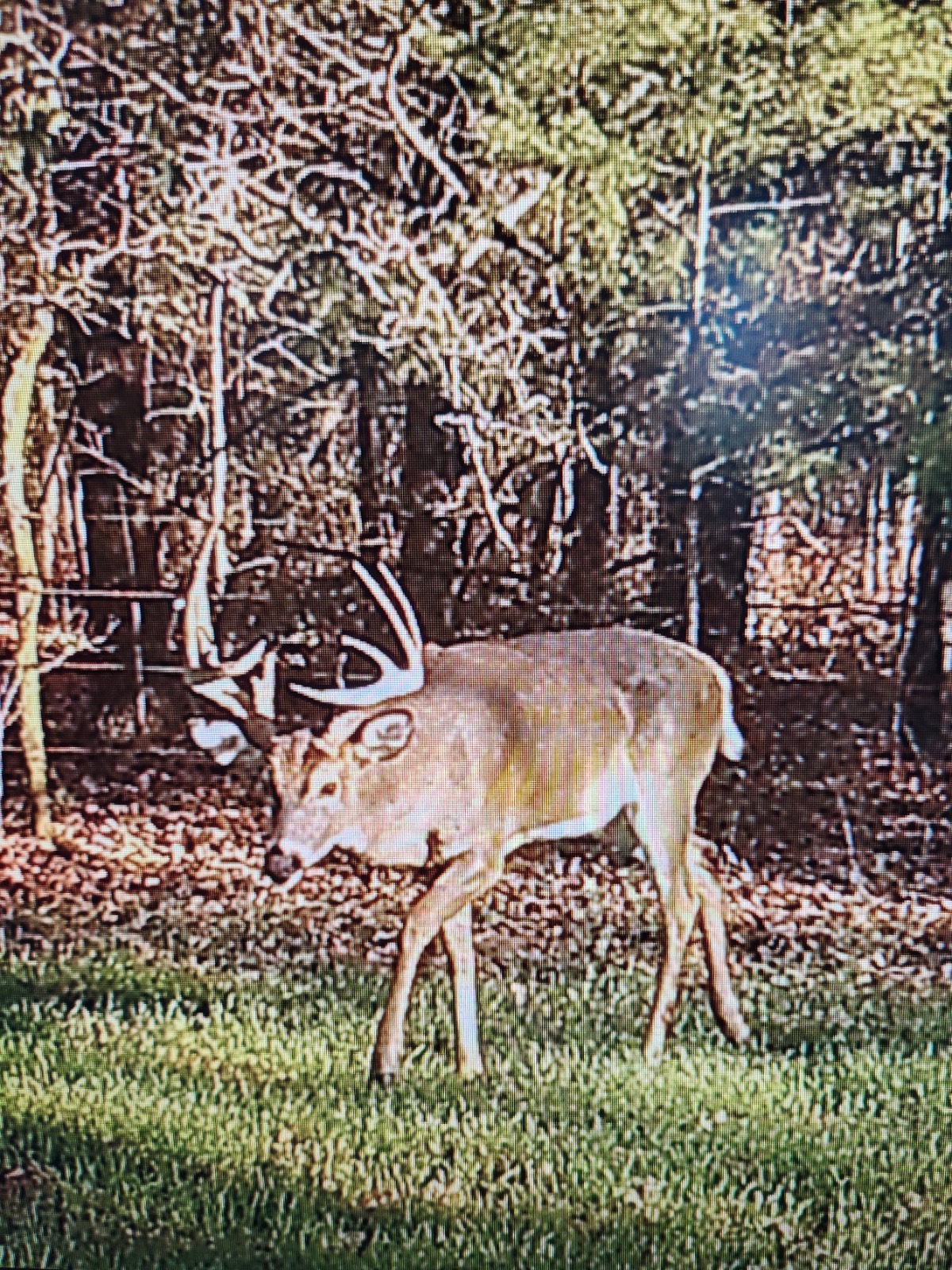 00 Cedar Grove Rd.