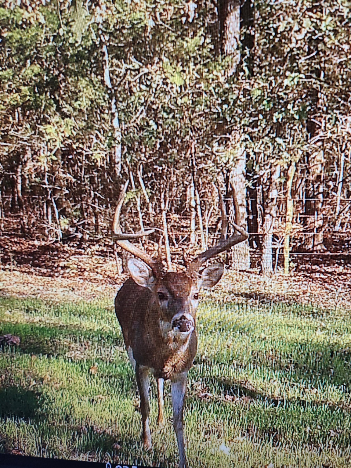 00 Cedar Grove Rd.
