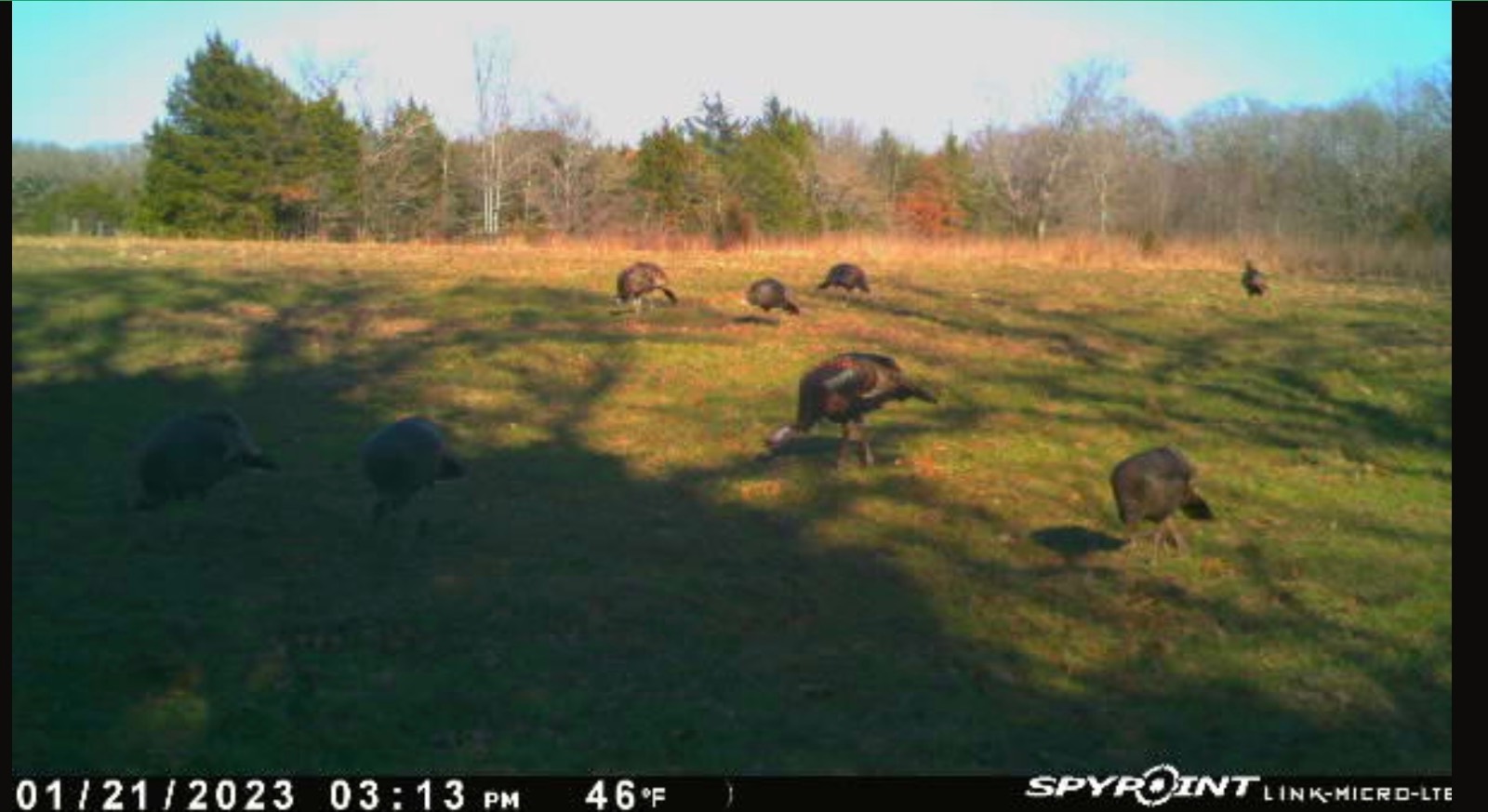 00 Cedar Grove Rd.