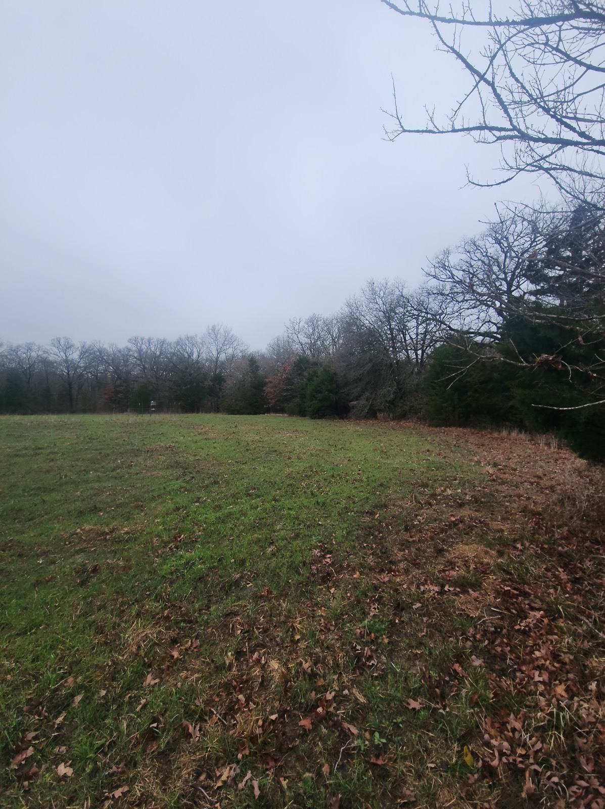 00 Cedar Grove Rd.