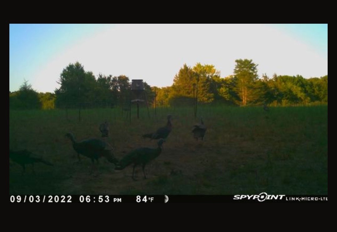 00 Cedar Grove Rd.