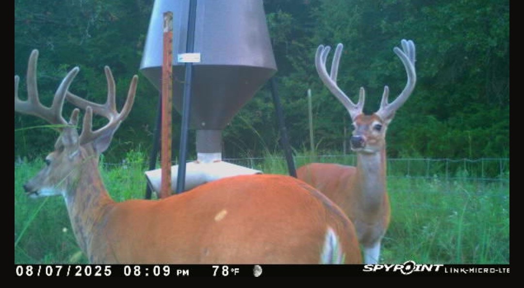 00 Cedar Grove Rd.