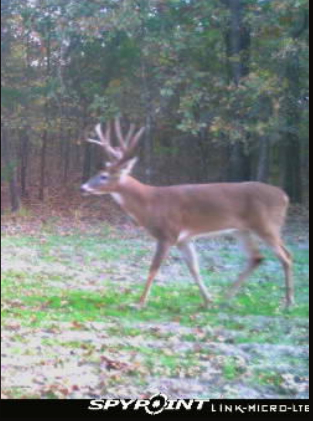 00 Cedar Grove Rd.