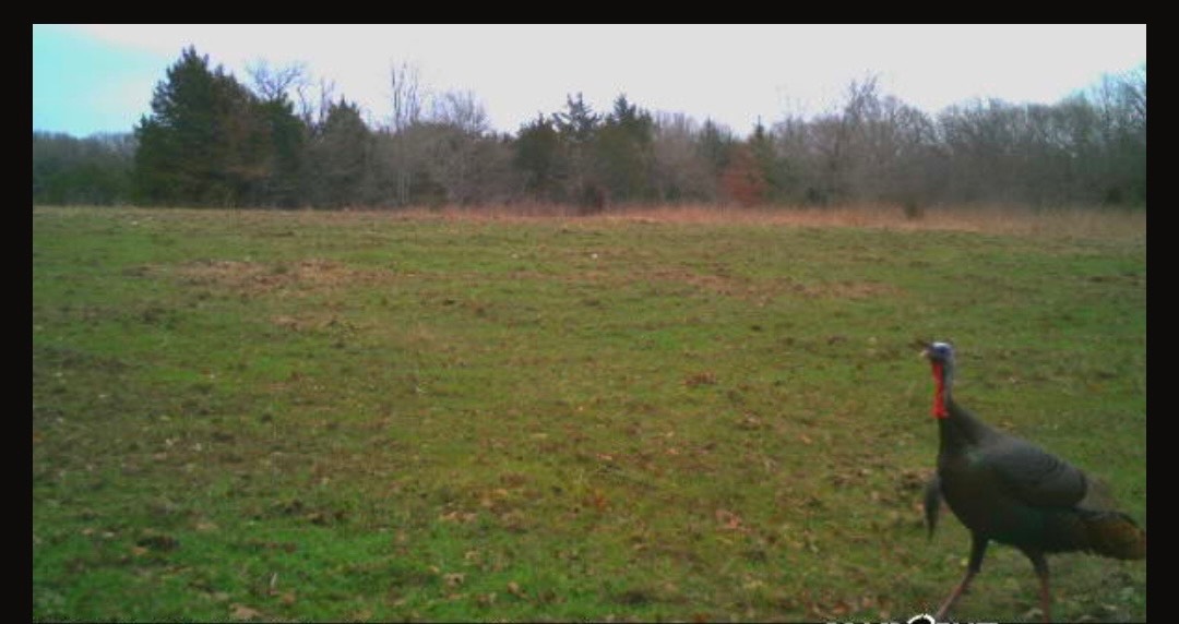 00 Cedar Grove Rd.