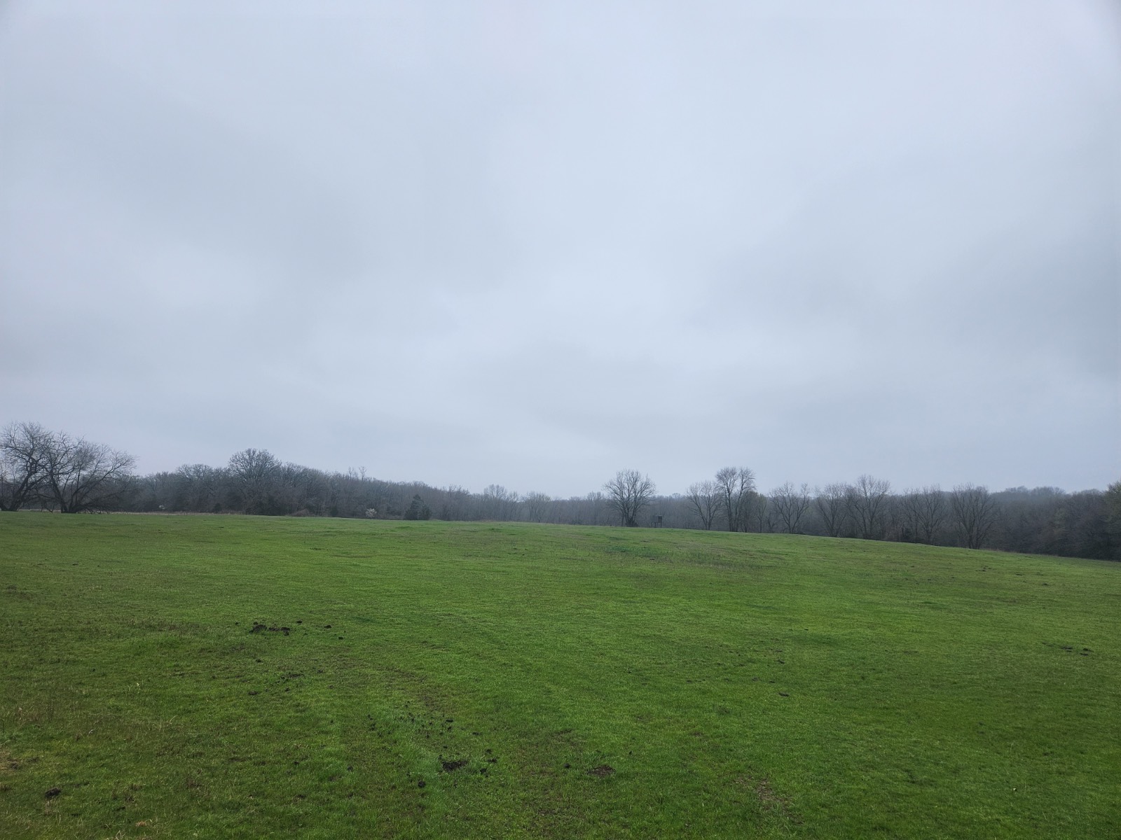 00 Cedar Grove Rd.