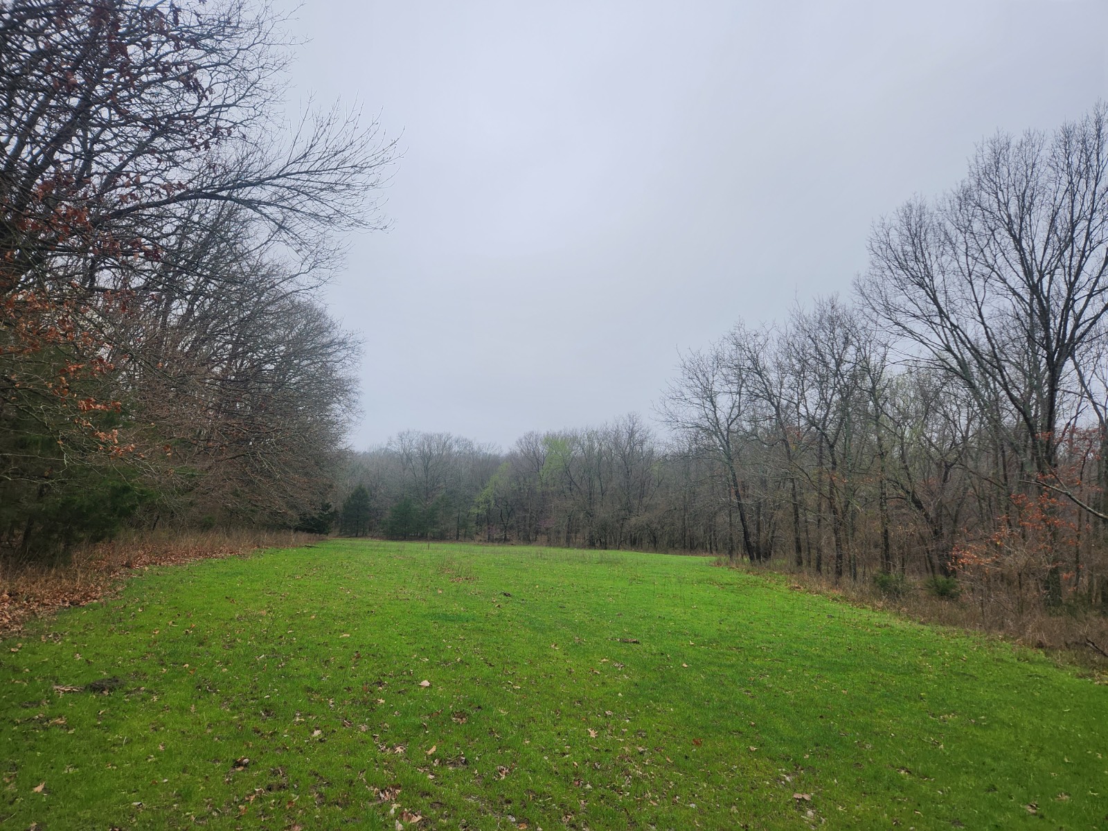 00 Cedar Grove Rd.