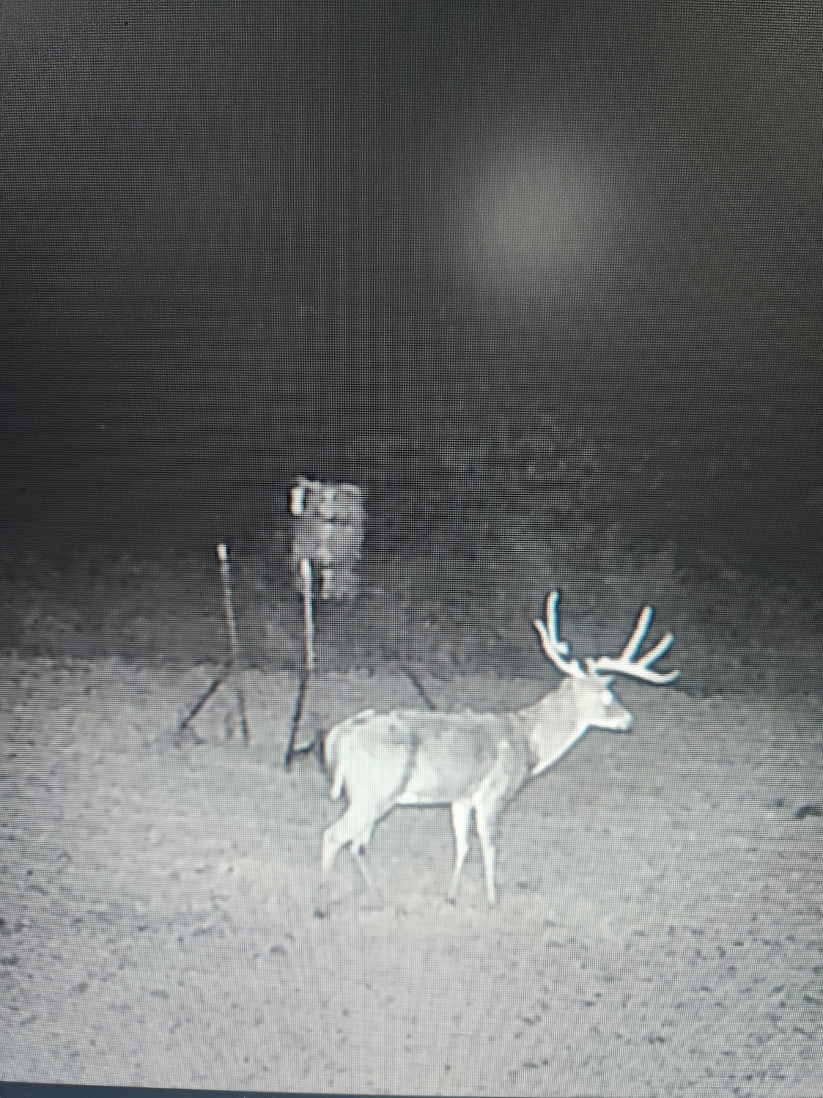 00 Cedar Grove Rd.