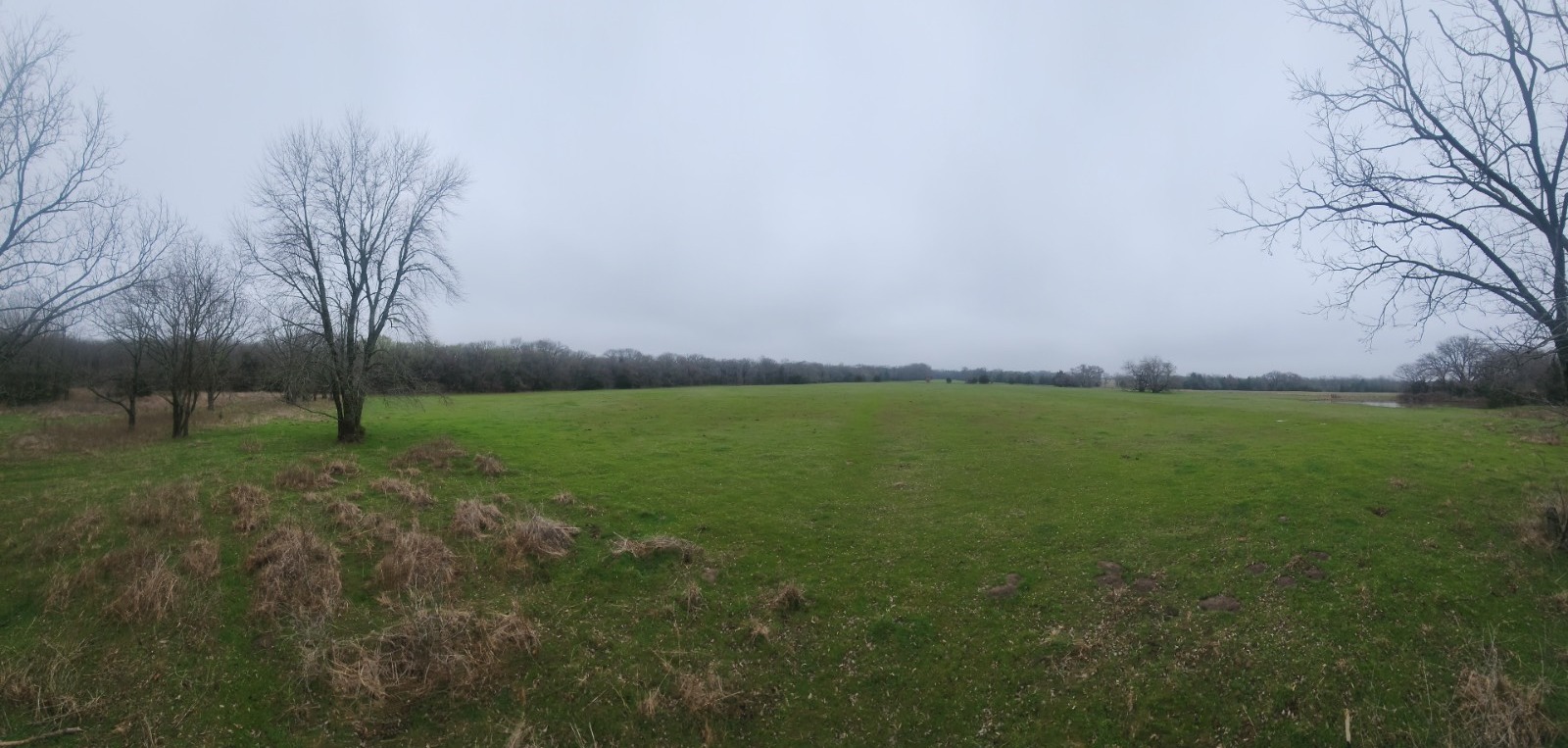 00 Cedar Grove Rd.