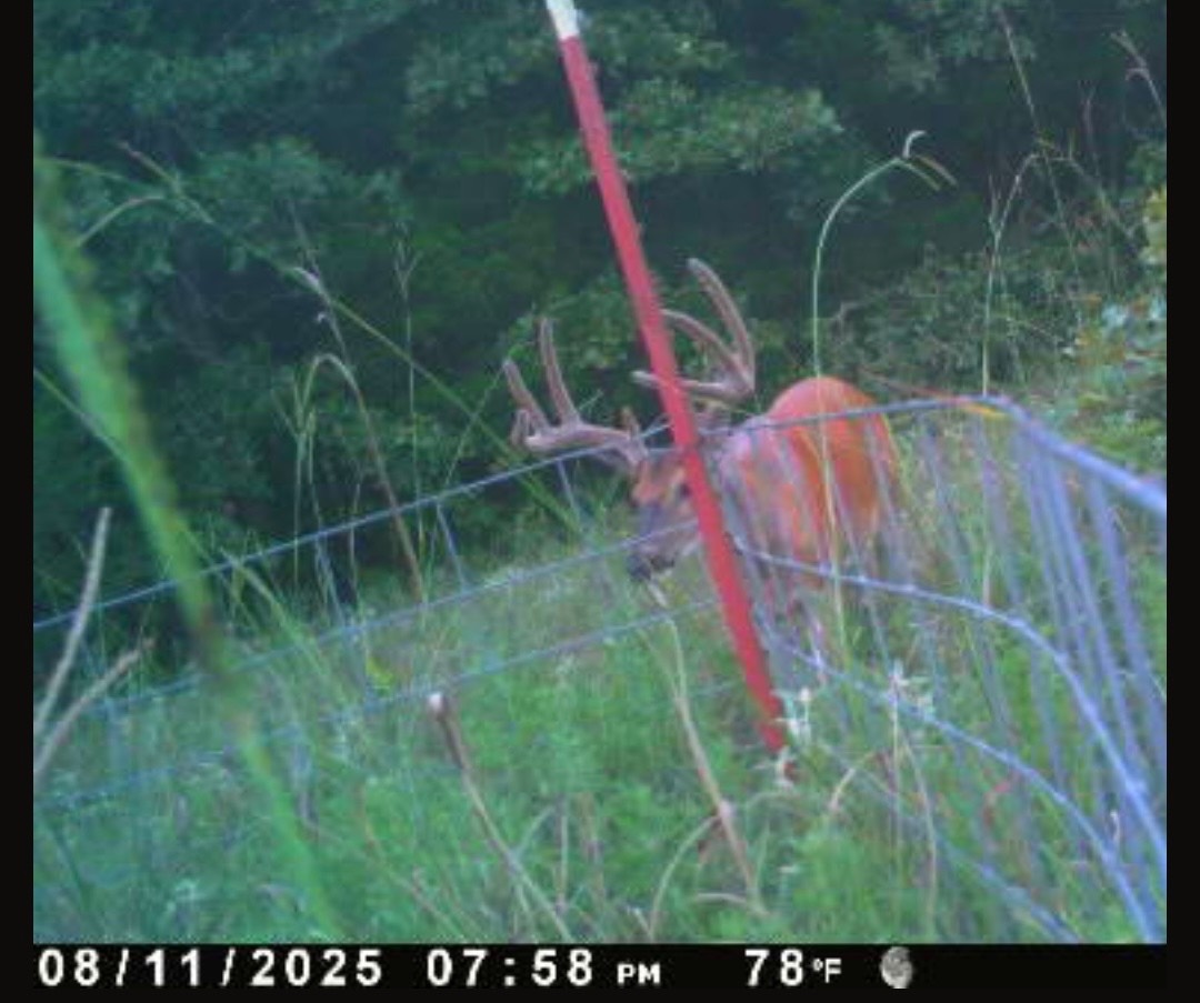 00 Cedar Grove Rd.