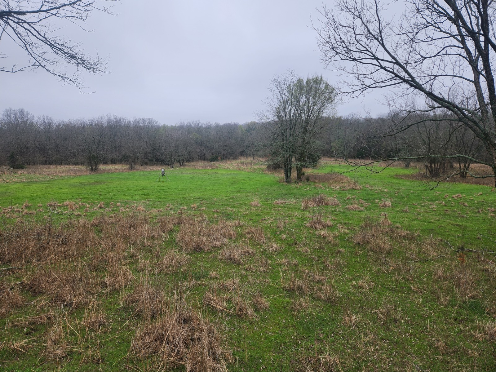 00 Cedar Grove Rd.