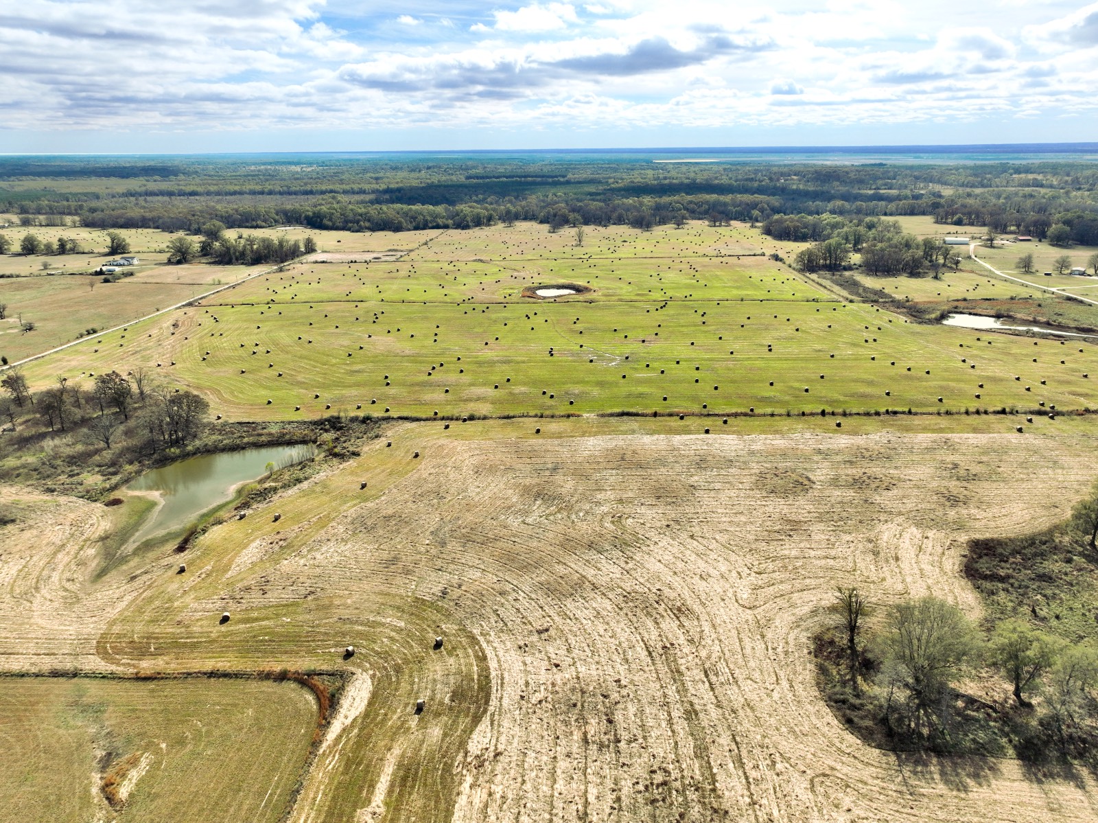 381 Shady Land & Fossil Ridge Trail