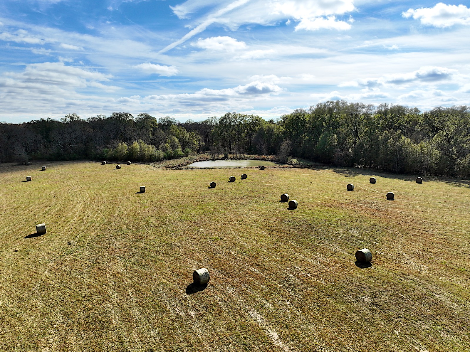 381 Shady Land & Fossil Ridge Trail