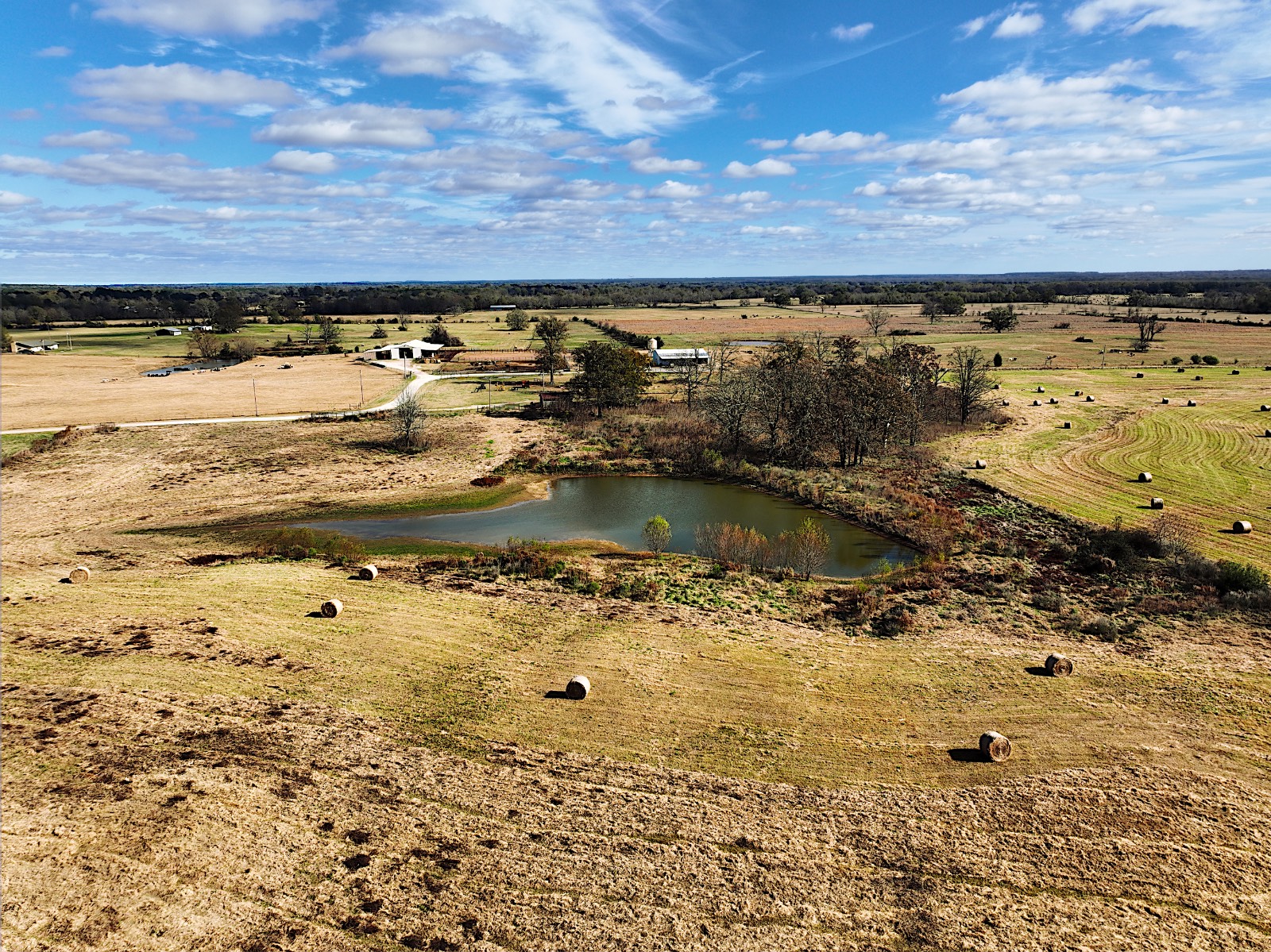 381 Shady Land & Fossil Ridge Trail