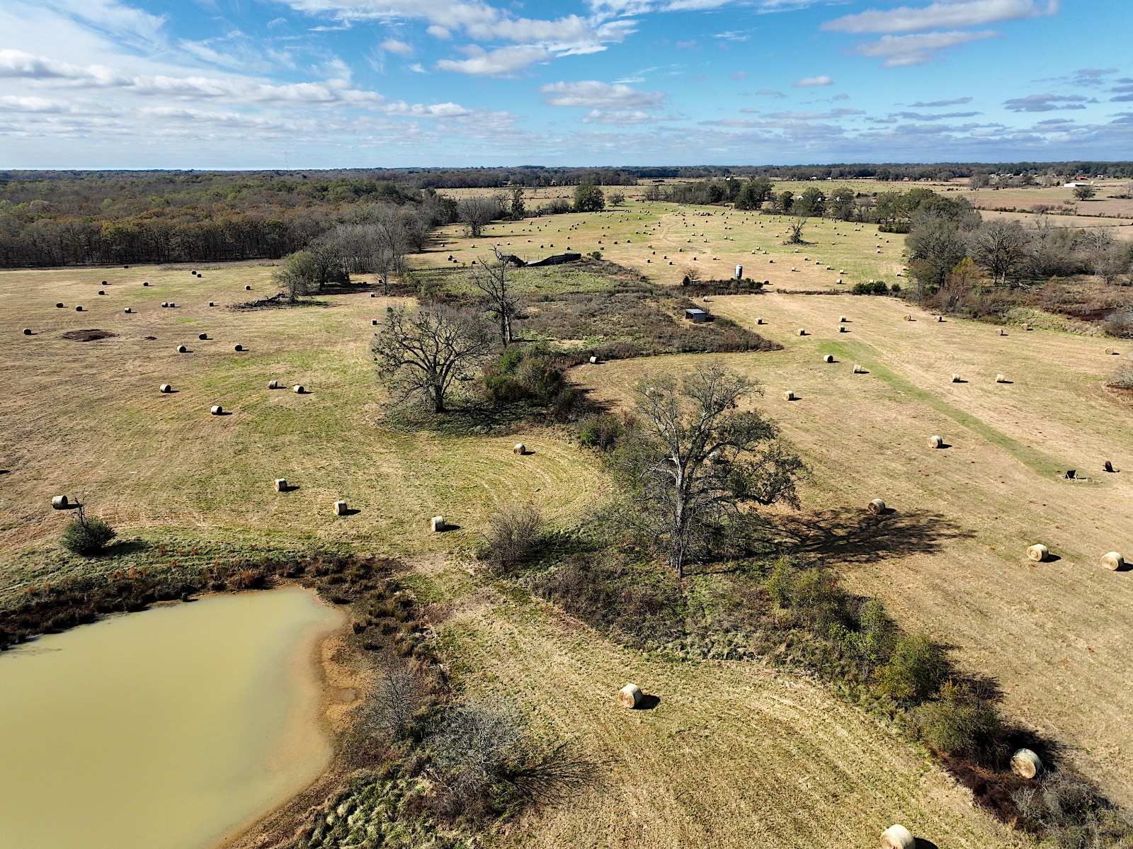 381 Shady Land & Fossil Ridge Trail