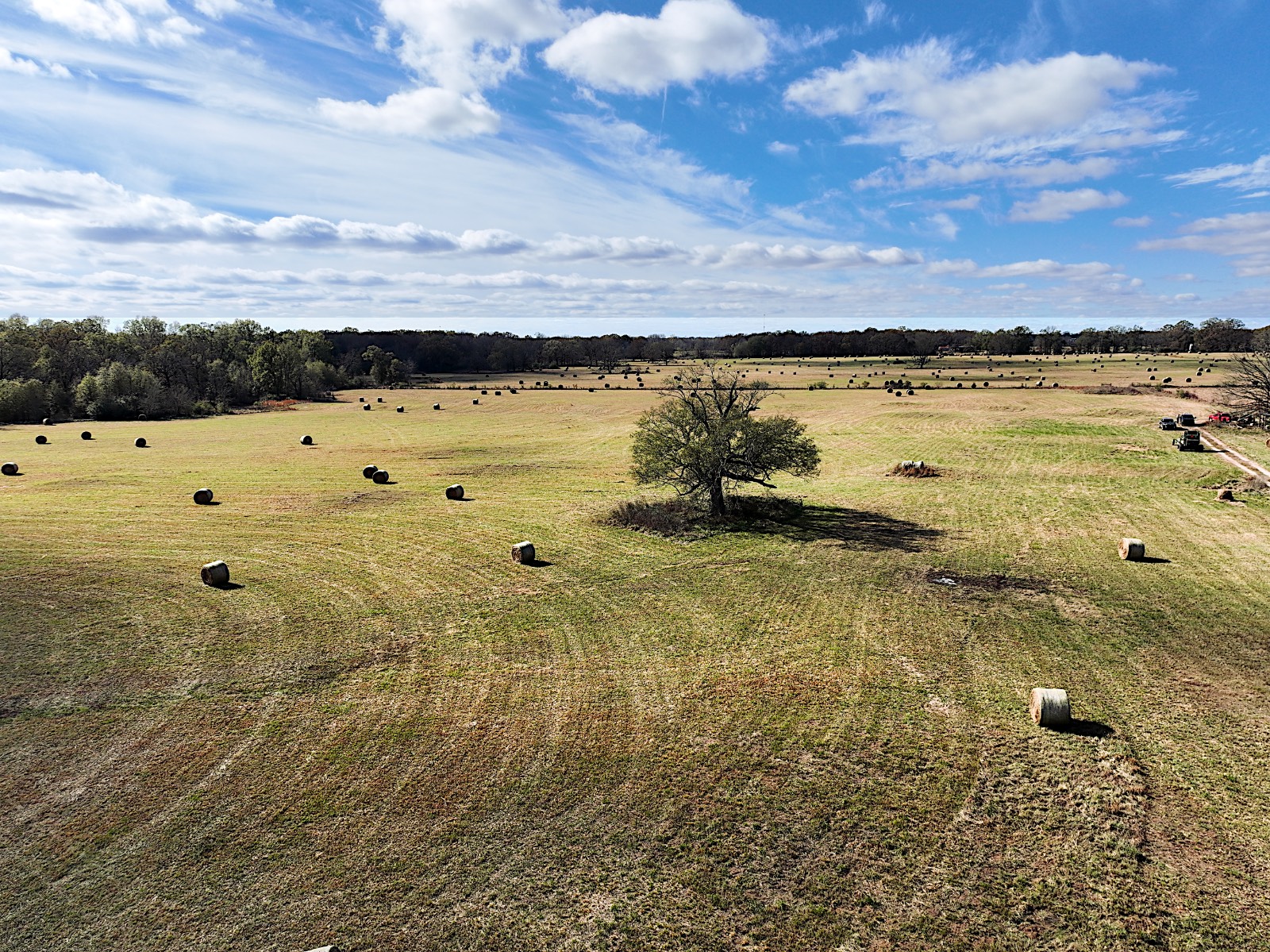 381 Shady Land & Fossil Ridge Trail