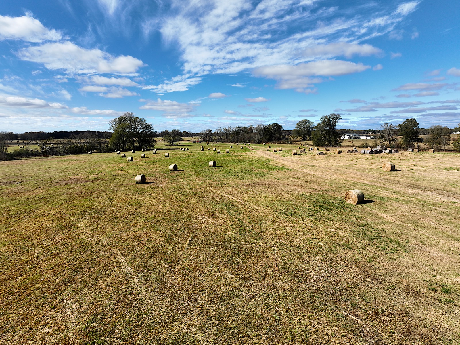 381 Shady Land & Fossil Ridge Trail