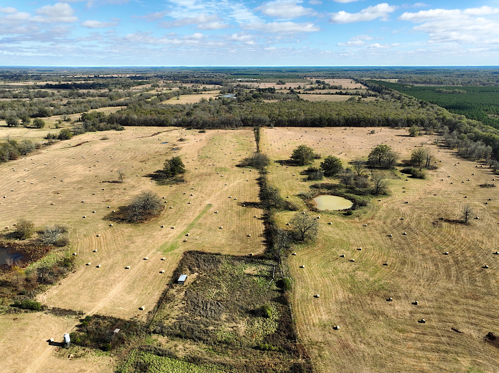 381 Shady Land & Fossil Ridge Trail