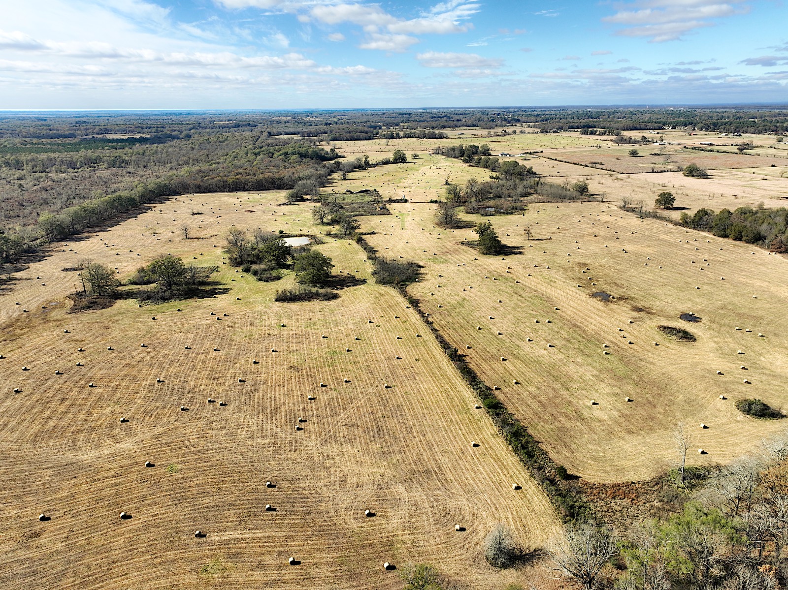 381 Shady Land & Fossil Ridge Trail