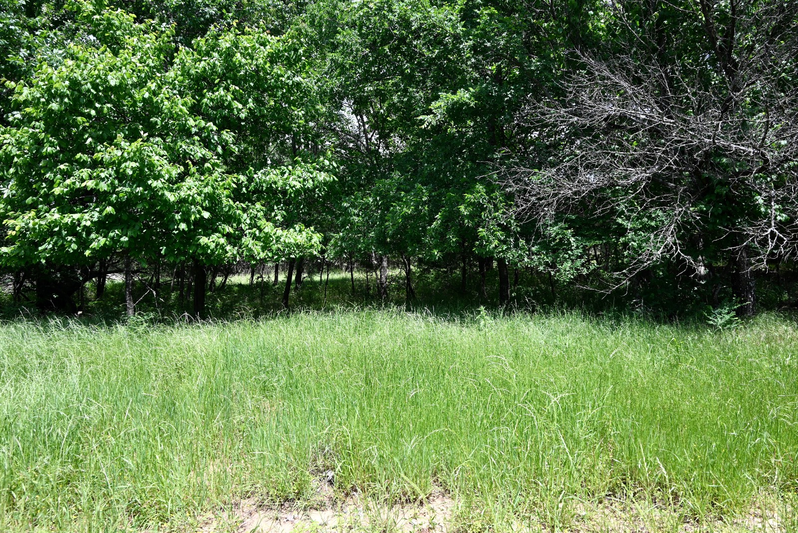 38 E1750Rd