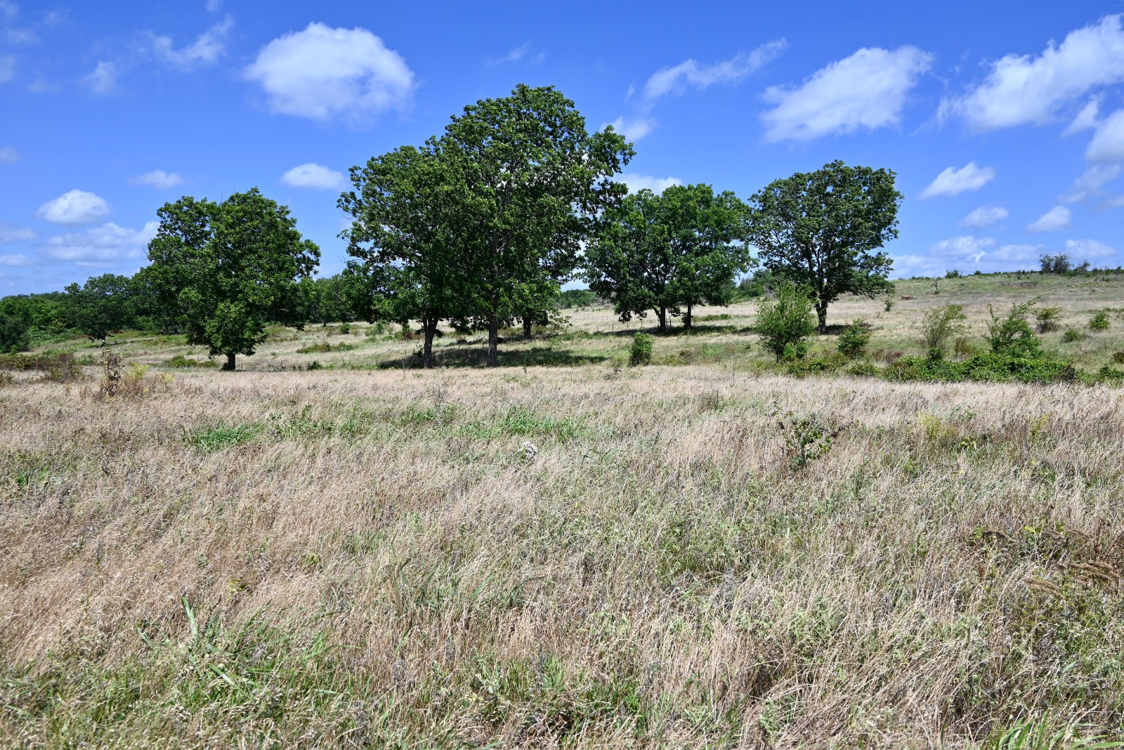 307 Walnut Creek Ranch