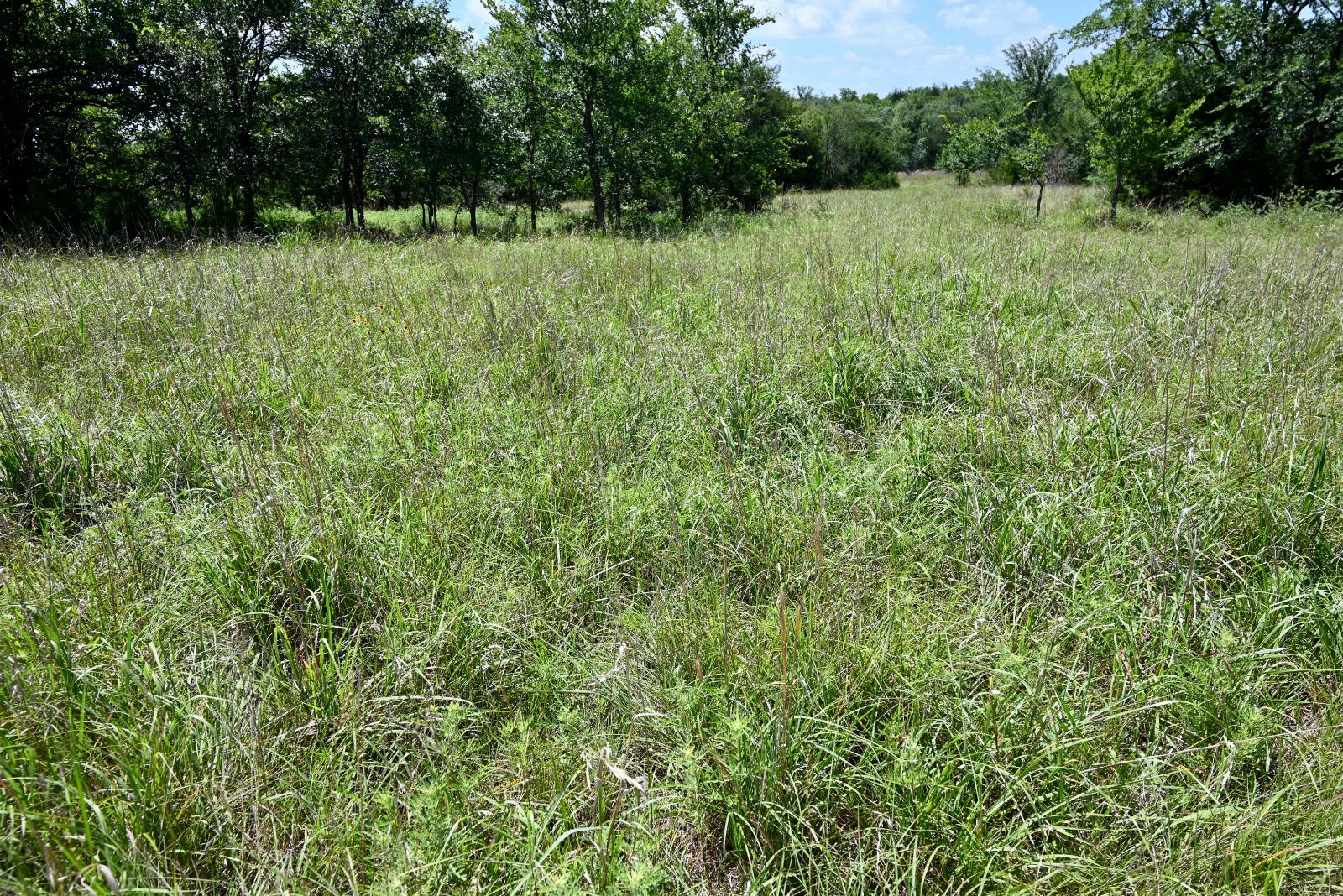 307 Walnut Creek Ranch