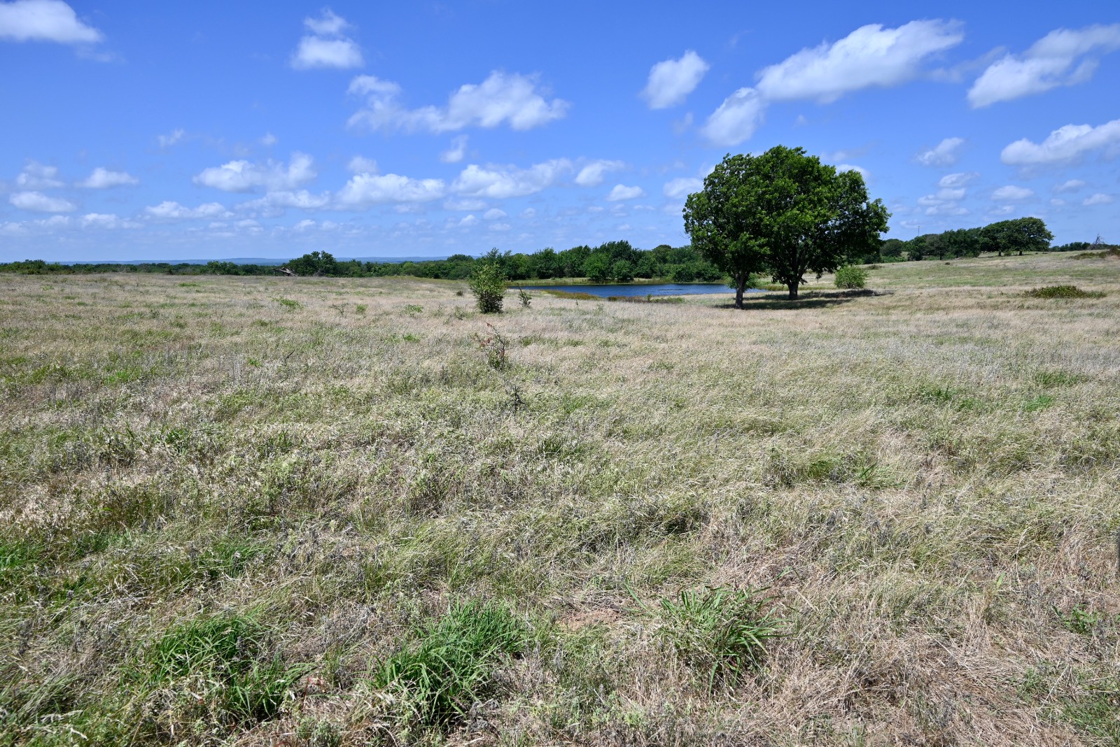 307 Walnut Creek Ranch