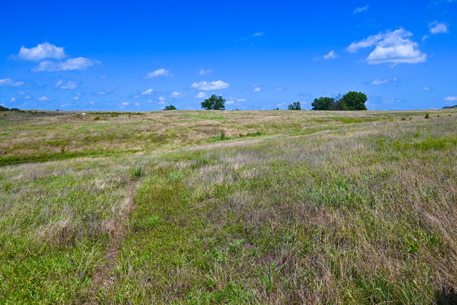 307 Walnut Creek Ranch
