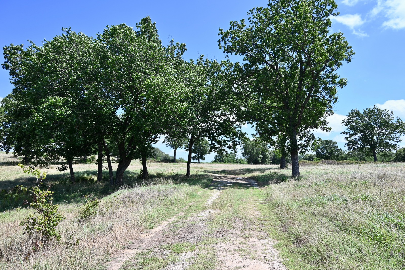307 Walnut Creek Ranch