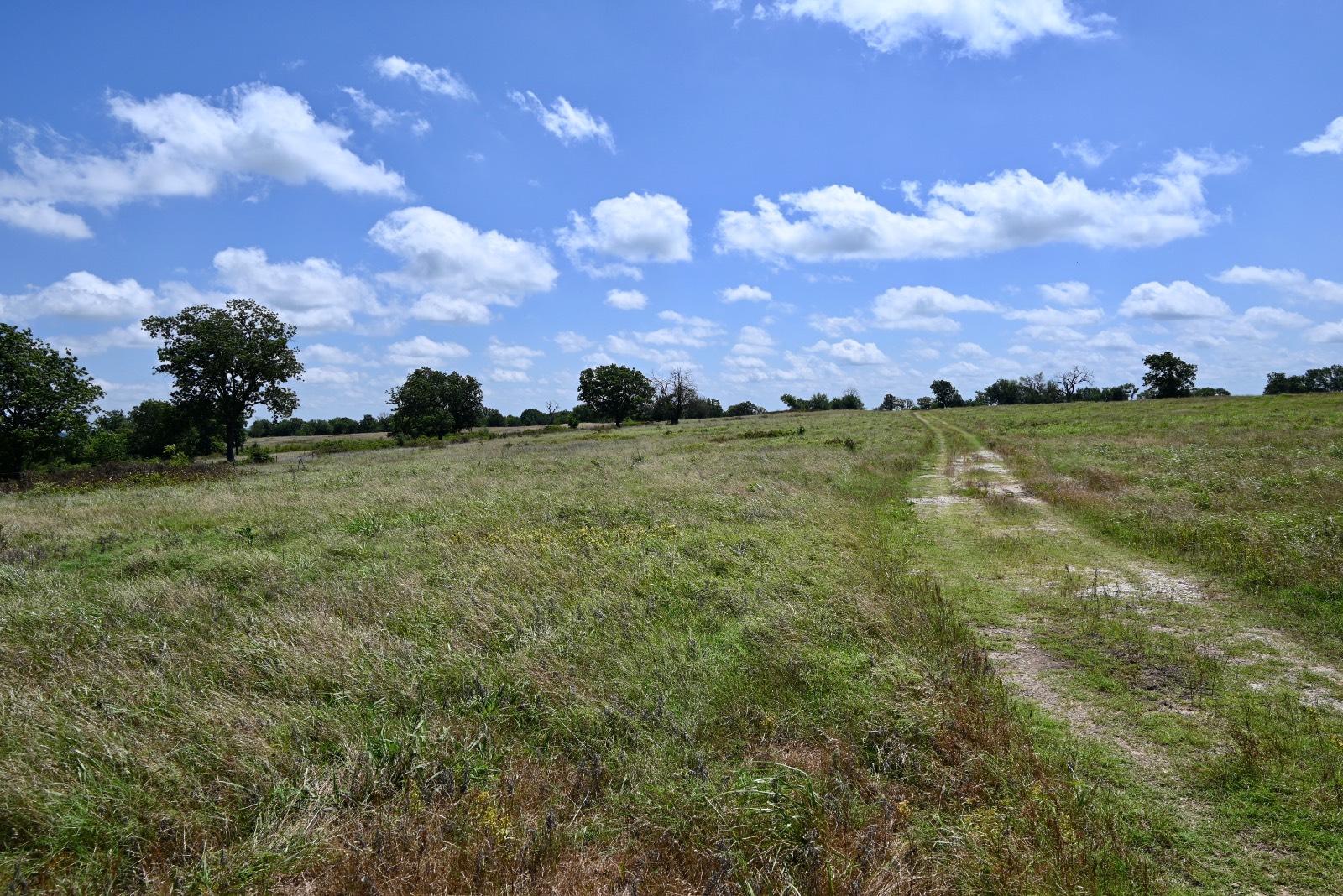 307 Walnut Creek Ranch