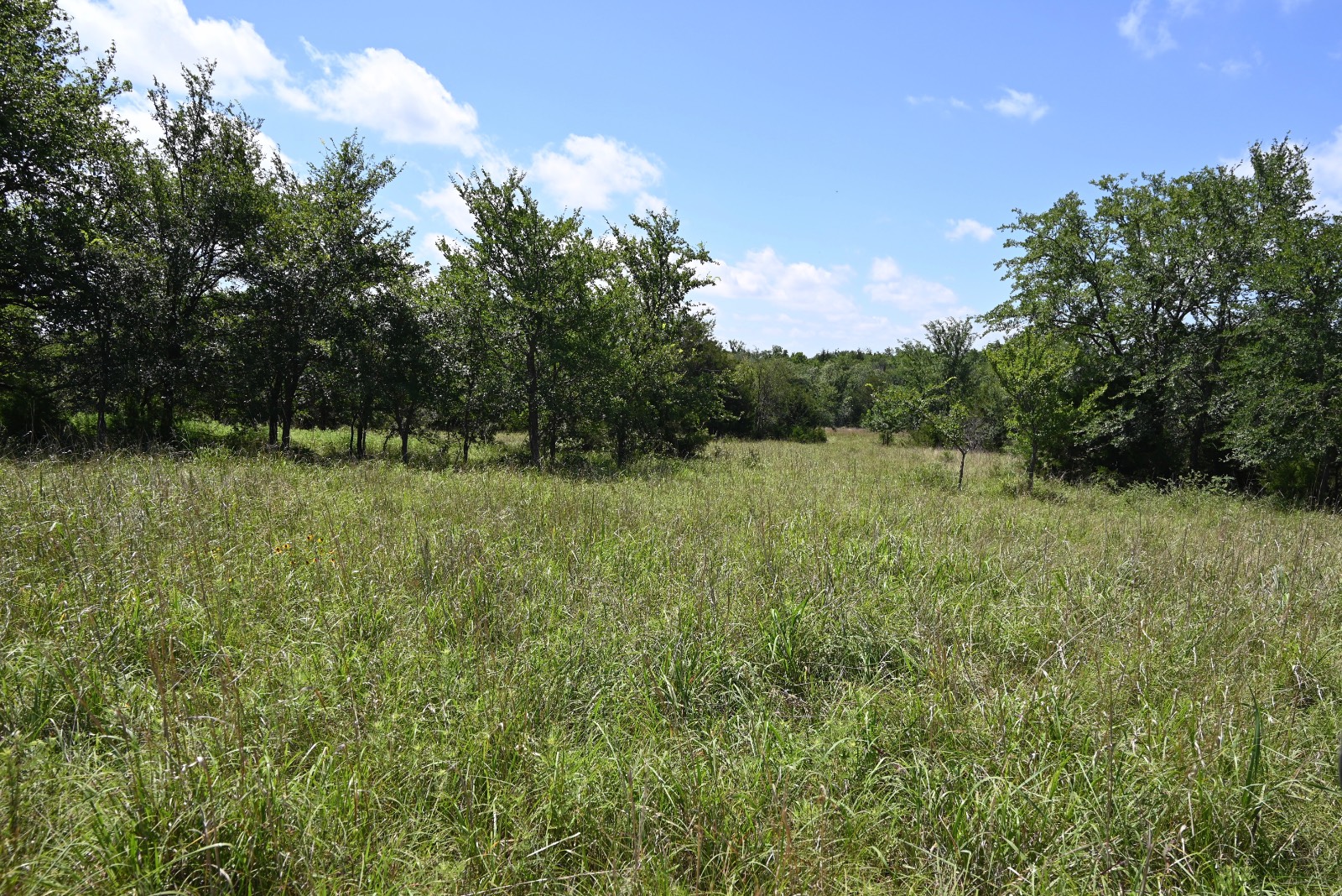 307 Walnut Creek Ranch