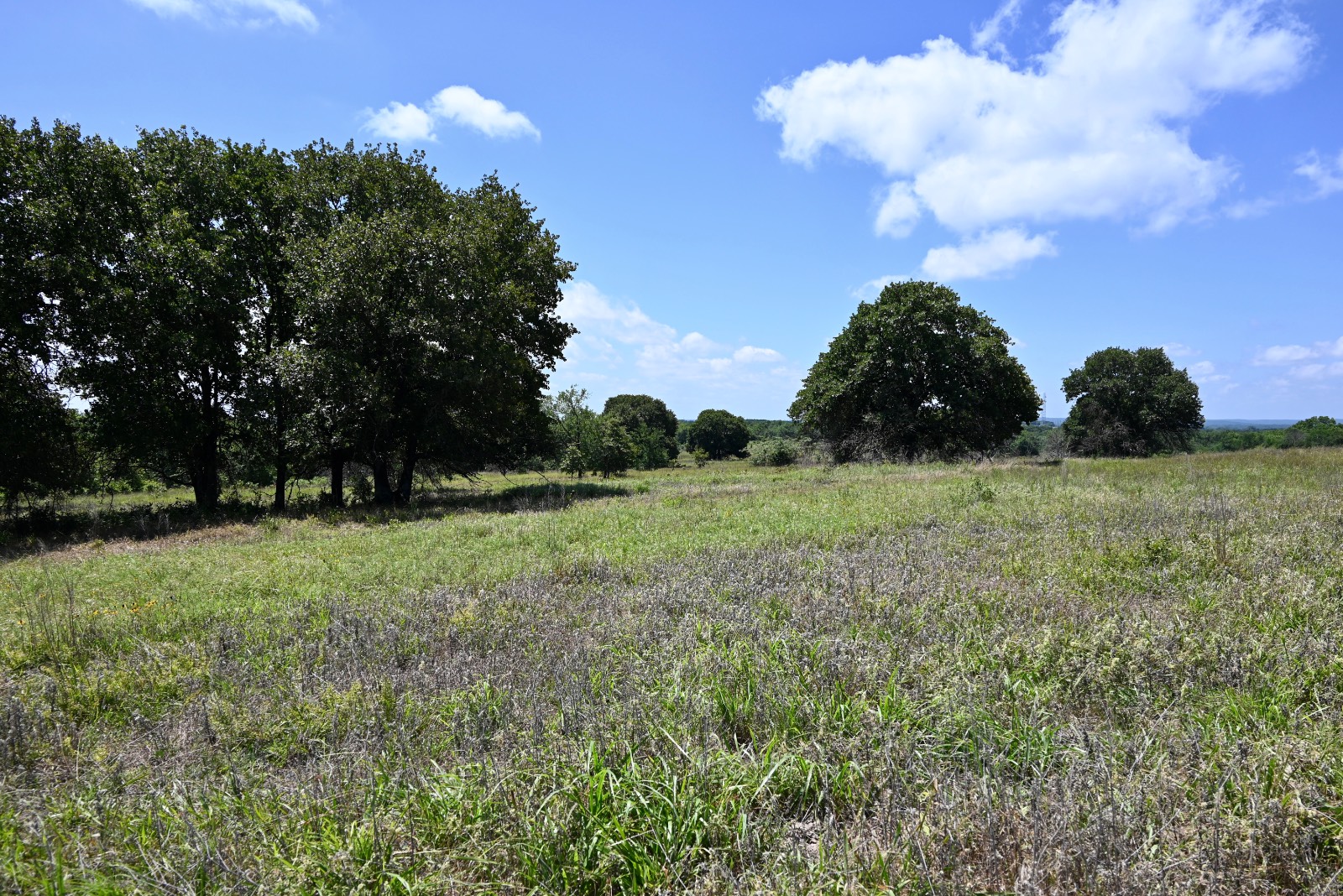 307 Walnut Creek Ranch