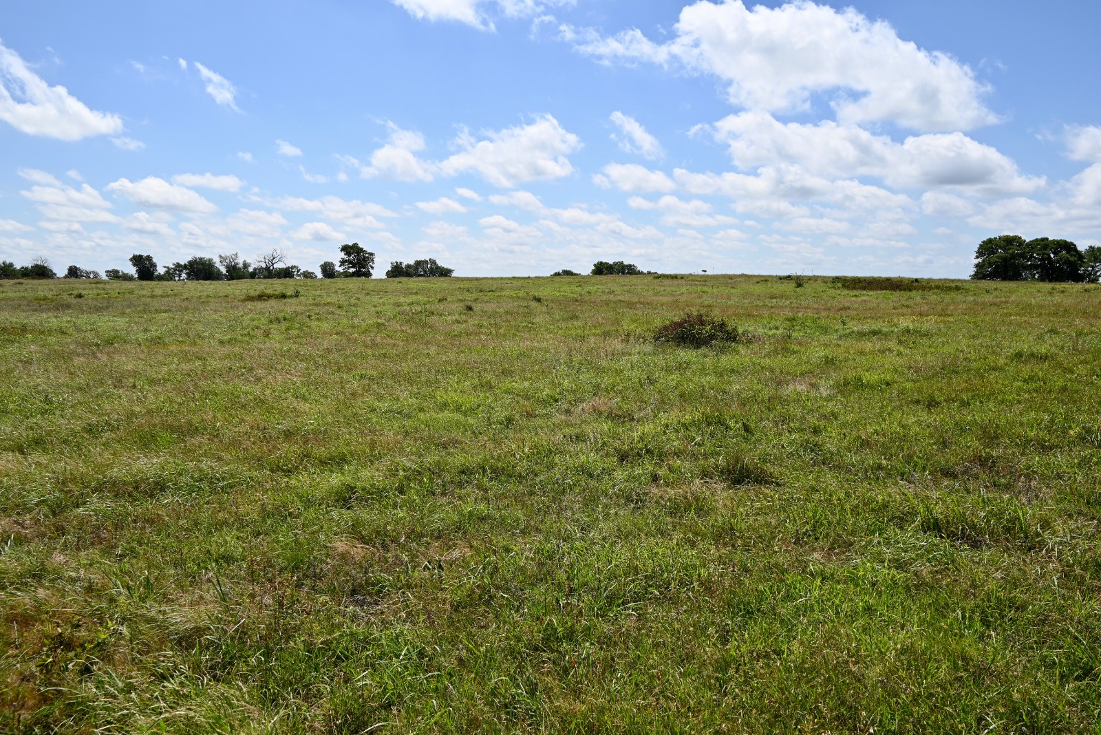 307 Walnut Creek Ranch