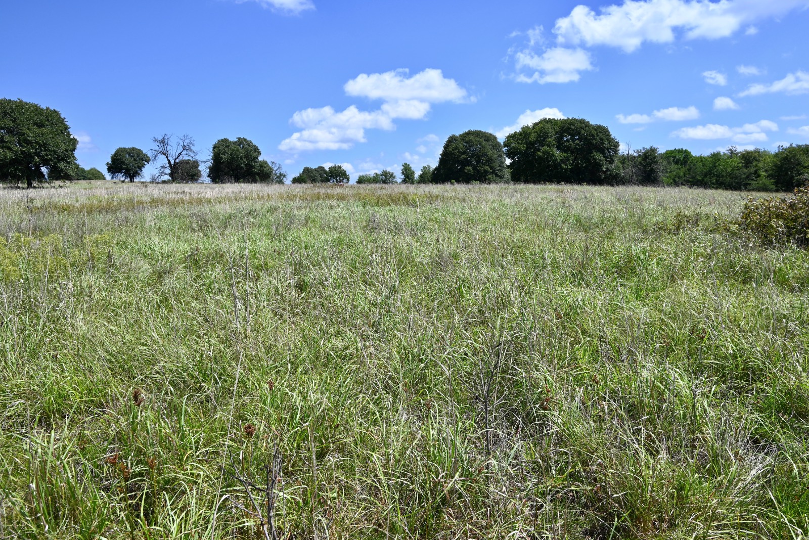 307 Walnut Creek Ranch