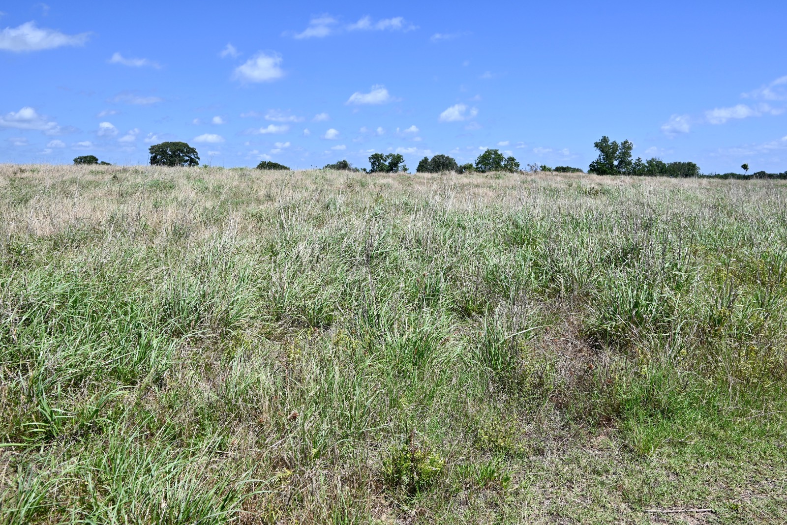 307 Walnut Creek Ranch