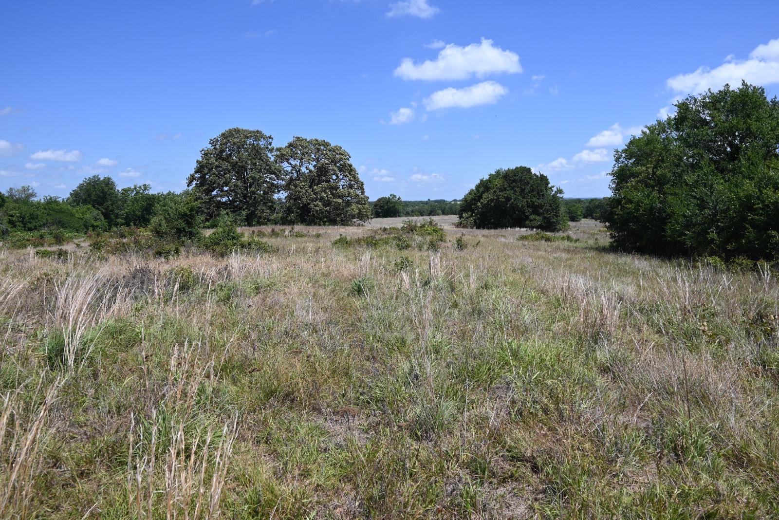 307 Walnut Creek Ranch