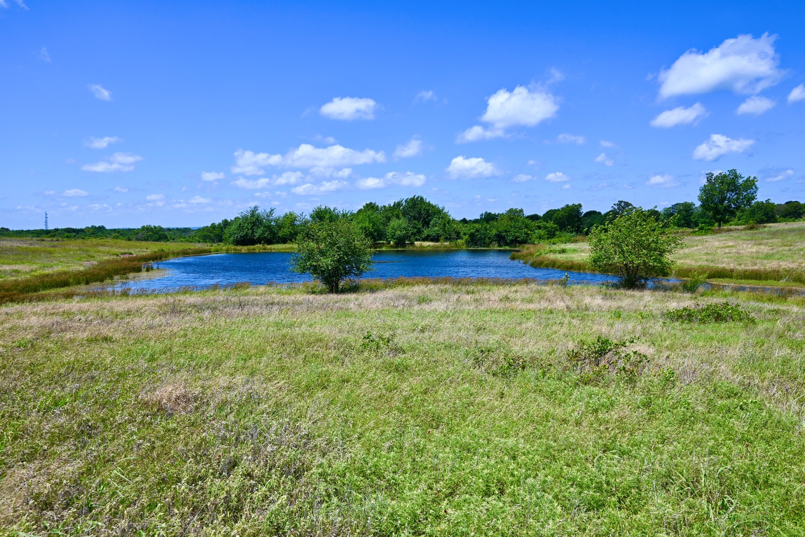 307 Walnut Creek Ranch