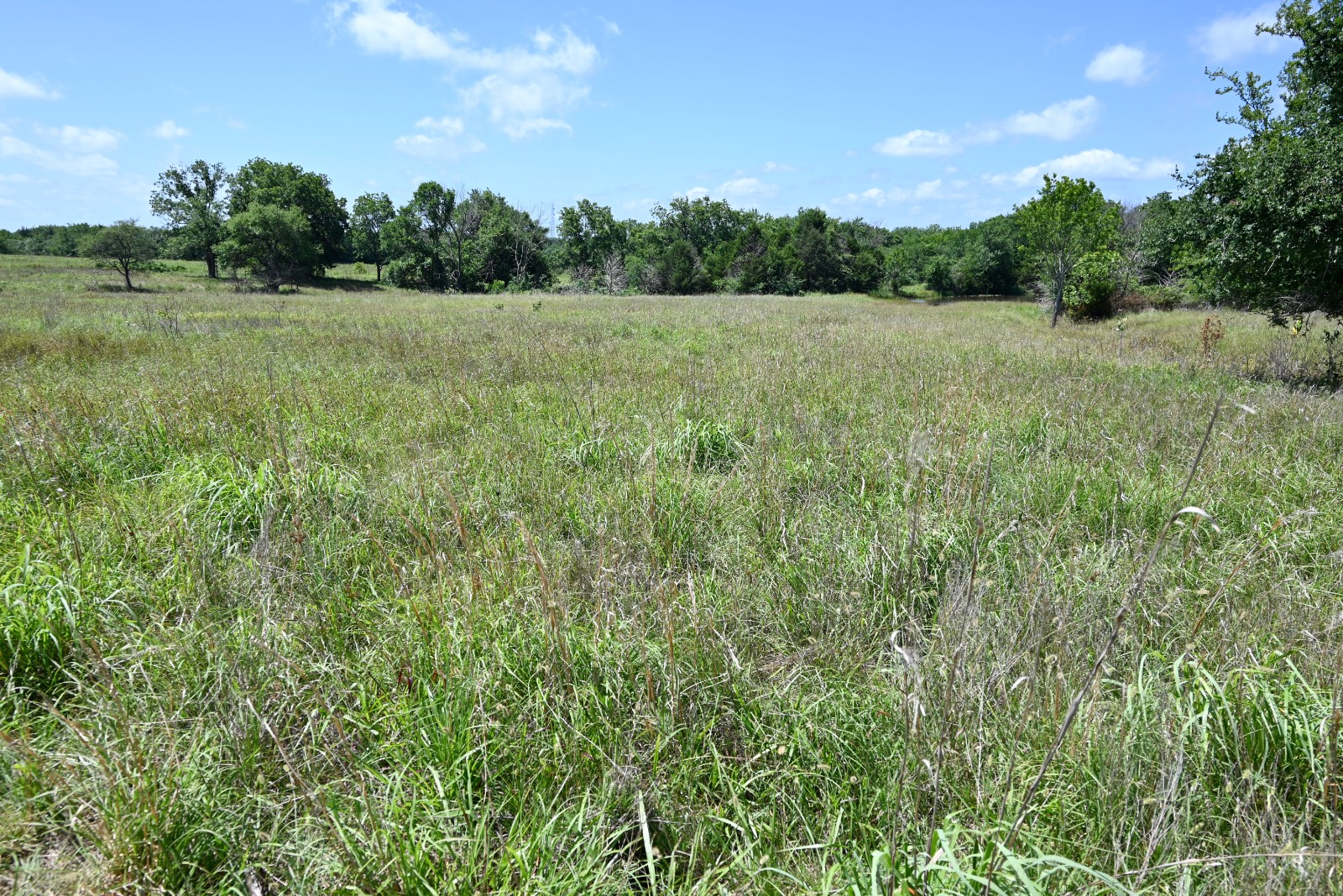 307 Walnut Creek Ranch