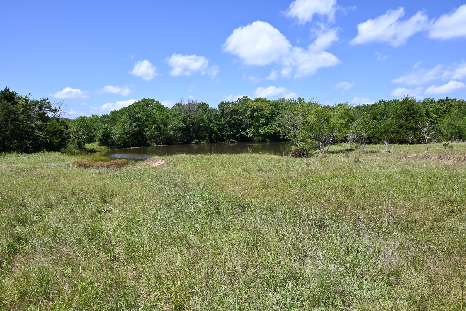 307 Walnut Creek Ranch