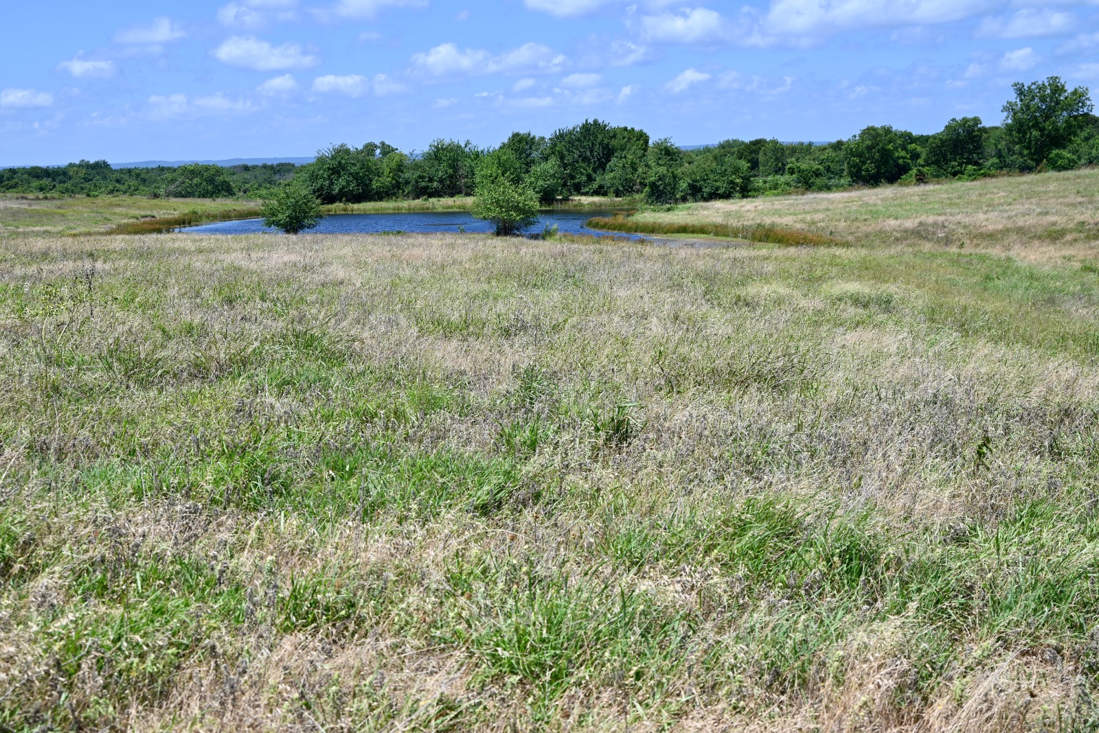 307 Walnut Creek Ranch