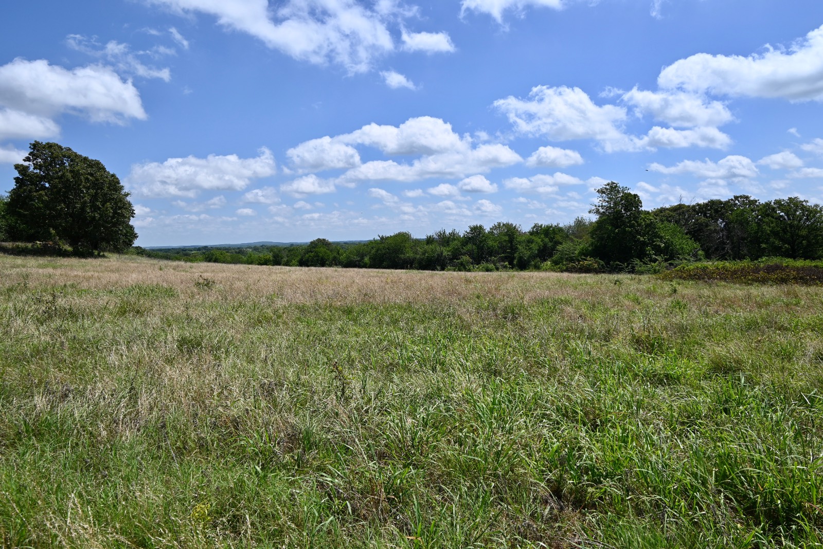 307 Walnut Creek Ranch