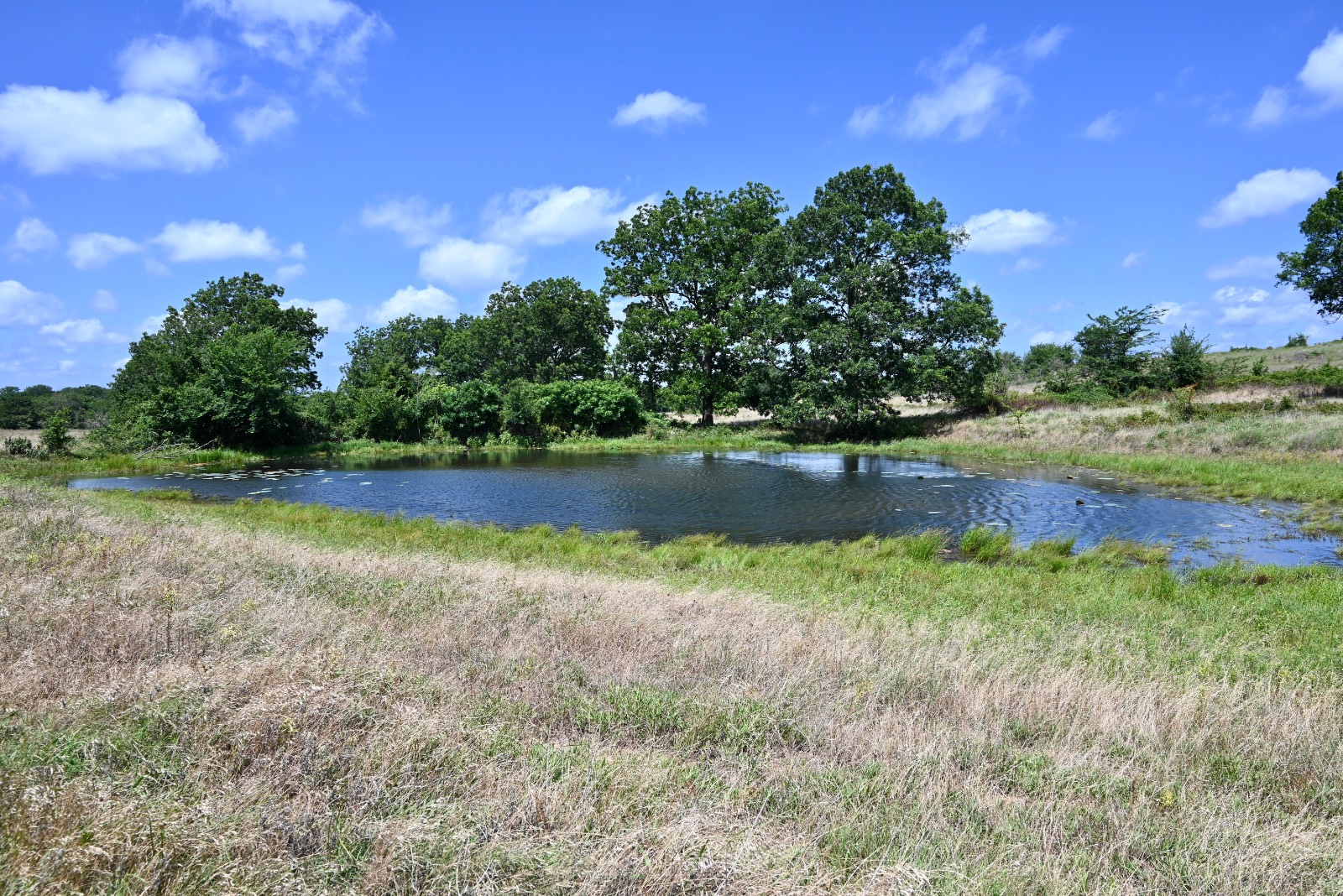 307 Walnut Creek Ranch