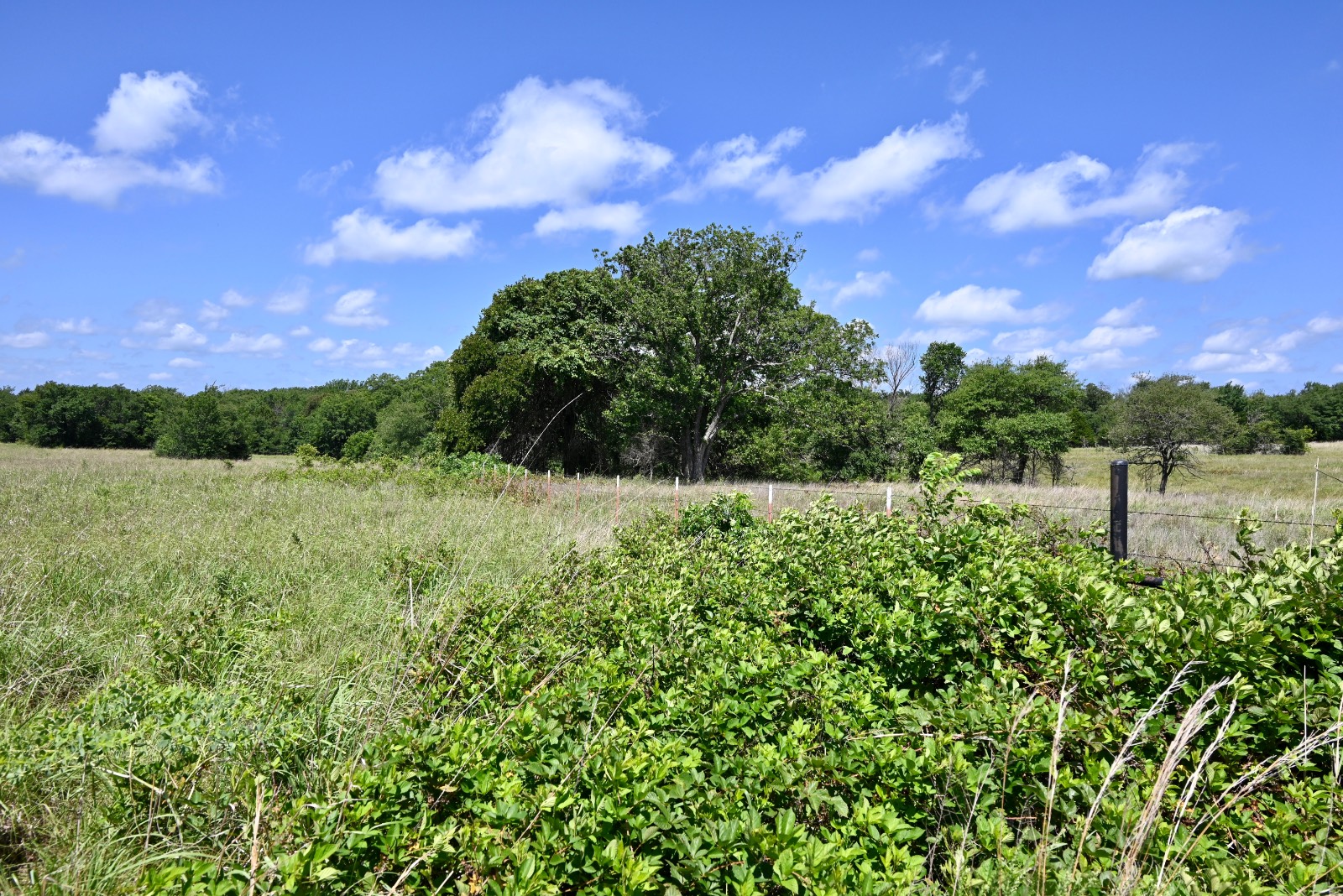 307 Walnut Creek Ranch