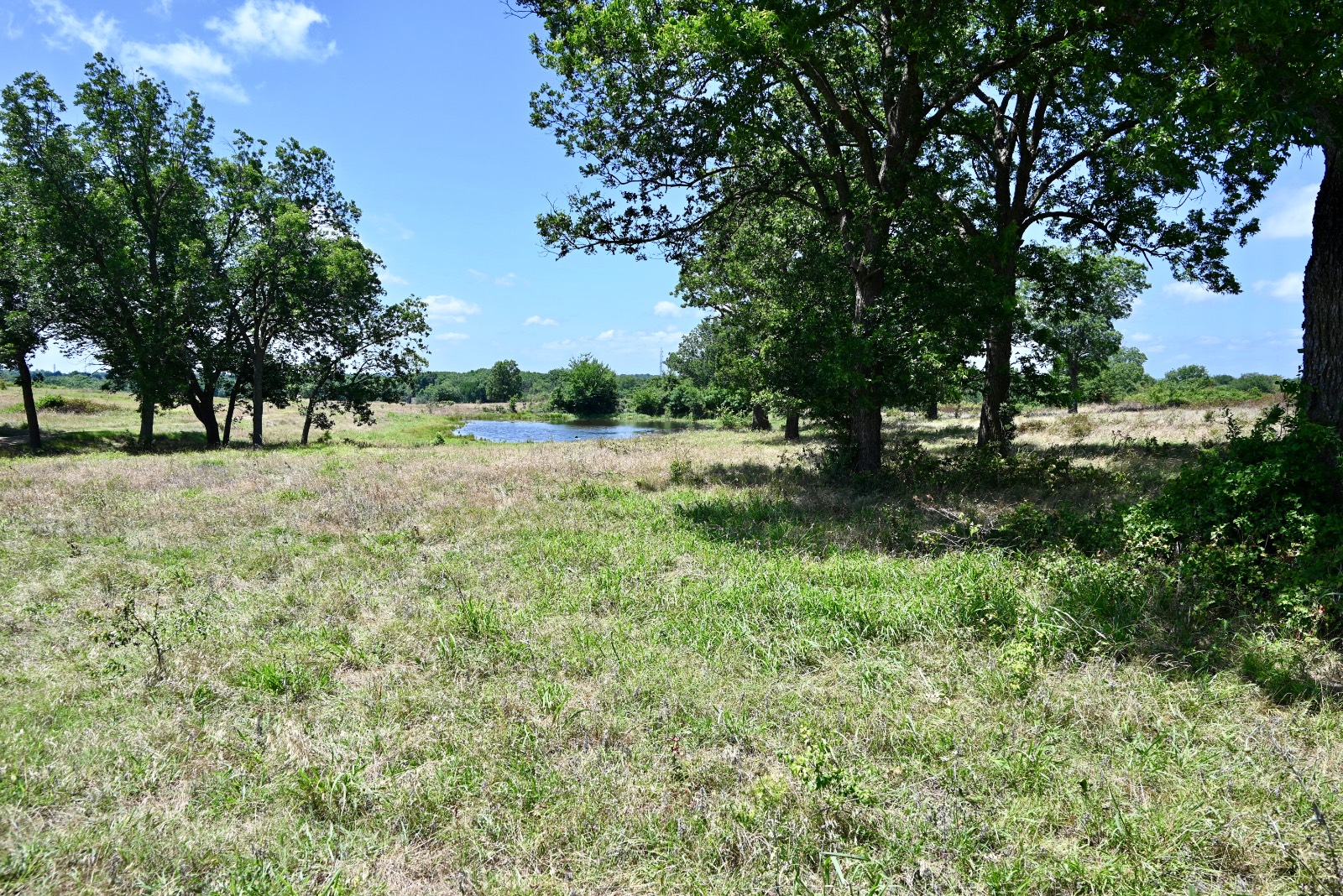 307 Walnut Creek Ranch
