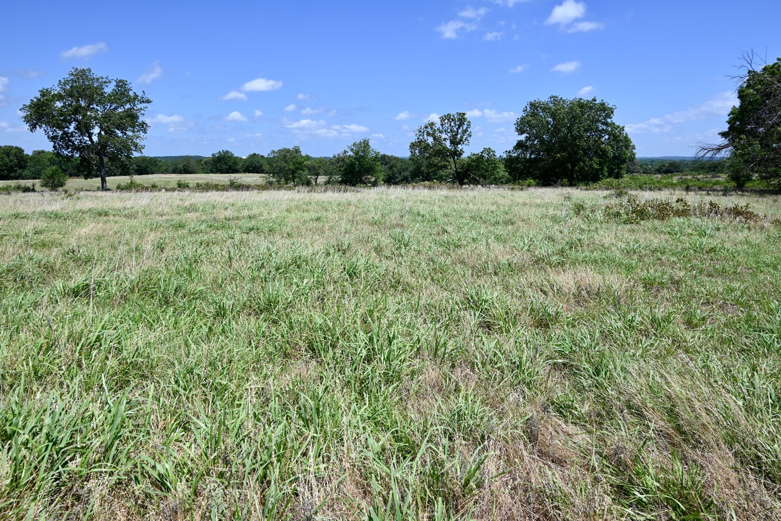 307 Walnut Creek Ranch