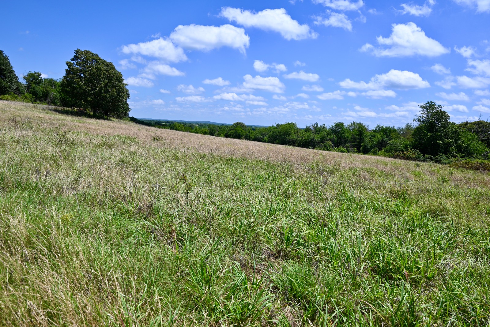307 Walnut Creek Ranch